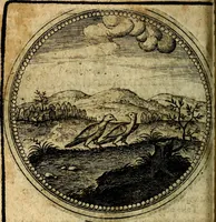 Picture 261 of 398 from Joachimi Camerarii Symbolorum et emblematum, centuriae quatuor .. (1668), leaf 543
