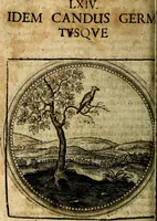 An illustration from Joachimi Camerarii Symbolorum et emblematum, centuriae quatuor .. (1668)