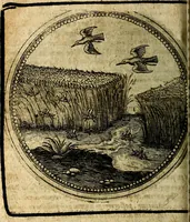 Picture 264 of 398 from Joachimi Camerarii Symbolorum et emblematum, centuriae quatuor .. (1668), leaf 549