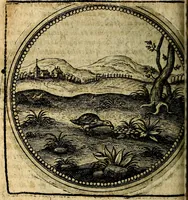 An illustration from Joachimi Camerarii Symbolorum et emblematum, centuriae quatuor .. (1668)