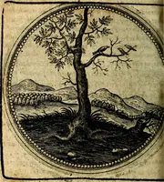 An illustration from Joachimi Camerarii Symbolorum et emblematum, centuriae quatuor .. (1668)