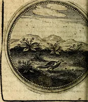 An illustration from Joachimi Camerarii Symbolorum et emblematum, centuriae quatuor .. (1668)