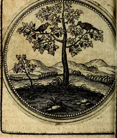 An illustration from Joachimi Camerarii Symbolorum et emblematum, centuriae quatuor .. (1668)