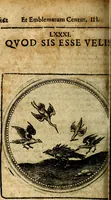 Picture 278 of 398 from Joachimi Camerarii Symbolorum et emblematum, centuriae quatuor .. (1668), leaf 579