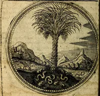 Picture 26 of 398 from Joachimi Camerarii Symbolorum et emblematum, centuriae quatuor .. (1668), leaf 59