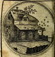 Picture 287 of 398 from Joachimi Camerarii Symbolorum et emblematum, centuriae quatuor .. (1668), leaf 597