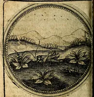 Picture 293 of 398 from Joachimi Camerarii Symbolorum et emblematum, centuriae quatuor .. (1668), leaf 609