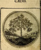 Picture 27 of 398 from Joachimi Camerarii Symbolorum et emblematum, centuriae quatuor .. (1668), leaf 61
