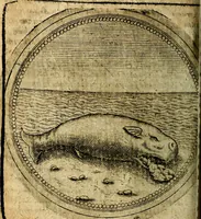 Picture 302 of 398 from Joachimi Camerarii Symbolorum et emblematum, centuriae quatuor .. (1668), leaf 633