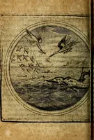 Picture 303 of 398 from Joachimi Camerarii Symbolorum et emblematum, centuriae quatuor .. (1668), leaf 635