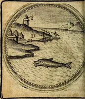Picture 307 of 398 from Joachimi Camerarii Symbolorum et emblematum, centuriae quatuor .. (1668), leaf 643