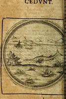 Picture 311 of 398 from Joachimi Camerarii Symbolorum et emblematum, centuriae quatuor .. (1668), leaf 651
