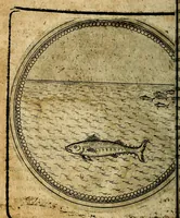 Picture 312 of 398 from Joachimi Camerarii Symbolorum et emblematum, centuriae quatuor .. (1668), leaf 653