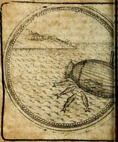 Picture 319 of 398 from Joachimi Camerarii Symbolorum et emblematum, centuriae quatuor .. (1668), leaf 665
