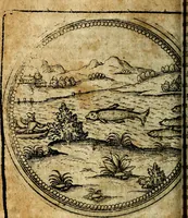 Picture 321 of 398 from Joachimi Camerarii Symbolorum et emblematum, centuriae quatuor .. (1668), leaf 669