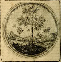 Picture 30 of 398 from Joachimi Camerarii Symbolorum et emblematum, centuriae quatuor .. (1668), leaf 67