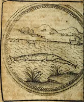 Picture 322 of 398 from Joachimi Camerarii Symbolorum et emblematum, centuriae quatuor .. (1668), leaf 671