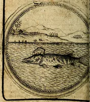 Picture 323 of 398 from Joachimi Camerarii Symbolorum et emblematum, centuriae quatuor .. (1668), leaf 673