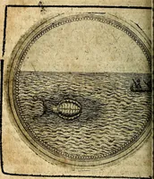 Picture 345 of 398 from Joachimi Camerarii Symbolorum et emblematum, centuriae quatuor .. (1668), leaf 717