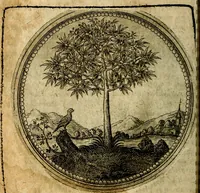An illustration from Joachimi Camerarii Symbolorum et emblematum, centuriae quatuor .. (1668)