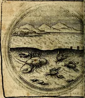 Picture 353 of 398 from Joachimi Camerarii Symbolorum et emblematum, centuriae quatuor .. (1668), leaf 733