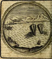 Picture 356 of 398 from Joachimi Camerarii Symbolorum et emblematum, centuriae quatuor .. (1668), leaf 739