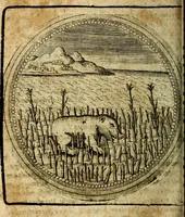 Picture 363 of 398 from Joachimi Camerarii Symbolorum et emblematum, centuriae quatuor .. (1668), leaf 753