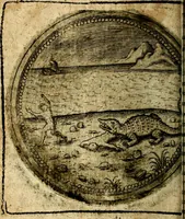 Picture 365 of 398 from Joachimi Camerarii Symbolorum et emblematum, centuriae quatuor .. (1668), leaf 757