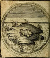 Picture 369 of 398 from Joachimi Camerarii Symbolorum et emblematum, centuriae quatuor .. (1668), leaf 765