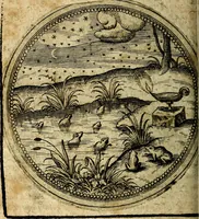 Picture 371 of 398 from Joachimi Camerarii Symbolorum et emblematum, centuriae quatuor .. (1668), leaf 769