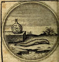 Picture 372 of 398 from Joachimi Camerarii Symbolorum et emblematum, centuriae quatuor .. (1668), leaf 771
