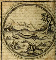 Picture 389 of 398 from Joachimi Camerarii Symbolorum et emblematum, centuriae quatuor .. (1668), leaf 805