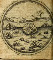 Picture 395 of 398 from Joachimi Camerarii Symbolorum et emblematum, centuriae quatuor .. (1668), leaf 817