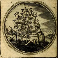 Picture 38 of 398 from Joachimi Camerarii Symbolorum et emblematum, centuriae quatuor .. (1668), leaf 83