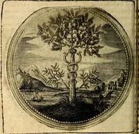 Picture 40 of 398 from Joachimi Camerarii Symbolorum et emblematum, centuriae quatuor .. (1668), leaf 87