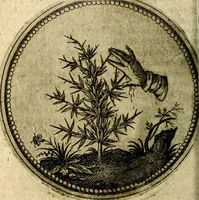 Picture 43 of 398 from Joachimi Camerarii Symbolorum et emblematum, centuriae quatuor .. (1668), leaf 93
