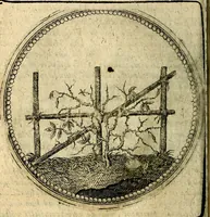 Picture 44 of 398 from Joachimi Camerarii Symbolorum et emblematum, centuriae quatuor .. (1668), leaf 95