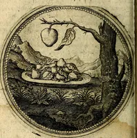 Picture 46 of 398 from Joachimi Camerarii Symbolorum et emblematum, centuriae quatuor .. (1668), leaf 99