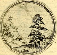 An illustration from Joachimi Camerarii Symbolorvm et emblematvm centvriæ tres. I. Ex herbis & stirpibus. II. Ex animalibus quadrupedibus. III. Ex volatilibus & insectis. Accessit noviter centvria IV. Ex aquatilibus & reptilibus. Cvm figvris æneis (1605)