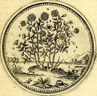 An illustration from Joachimi Camerarii Symbolorvm et emblematvm centvriæ tres. I. Ex herbis & stirpibus. II. Ex animalibus quadrupedibus. III. Ex volatilibus & insectis. Accessit noviter centvria IV. Ex aquatilibus & reptilibus. Cvm figvris æneis (1605)