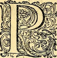An illustration from Joachimi Camerarii Symbolorvm et emblematvm centvriæ tres. I. Ex herbis & stirpibus. II. Ex animalibus quadrupedibus. III. Ex volatilibus & insectis. Accessit noviter centvria IV. Ex aquatilibus & reptilibus. Cvm figvris æneis (1605)
