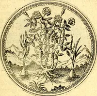 An illustration from Joachimi Camerarii Symbolorvm et emblematvm centvriæ tres. I. Ex herbis & stirpibus. II. Ex animalibus quadrupedibus. III. Ex volatilibus & insectis. Accessit noviter centvria IV. Ex aquatilibus & reptilibus. Cvm figvris æneis (1605)