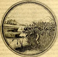 An illustration from Joachimi Camerarii Symbolorvm et emblematvm centvriæ tres. I. Ex herbis & stirpibus. II. Ex animalibus quadrupedibus. III. Ex volatilibus & insectis. Accessit noviter centvria IV. Ex aquatilibus & reptilibus. Cvm figvris æneis (1605)