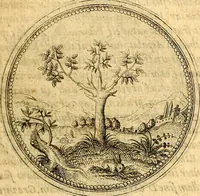 Picture 7 of 302 from Joachimi Camerarii Symbolorvm et emblematvm centvriæ tres. I. Ex herbis & stirpibus. II. Ex animalibus quadrupedibus. III. Ex volatilibus & insectis. Accessit noviter centvria IV. Ex aquatilibus & reptilibus. Cvm figvris æneis (1605), leaf 12