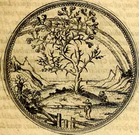 An illustration from Joachimi Camerarii Symbolorvm et emblematvm centvriæ tres. I. Ex herbis & stirpibus. II. Ex animalibus quadrupedibus. III. Ex volatilibus & insectis. Accessit noviter centvria IV. Ex aquatilibus & reptilibus. Cvm figvris æneis (1605)