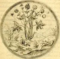An illustration from Joachimi Camerarii Symbolorvm et emblematvm centvriæ tres. I. Ex herbis & stirpibus. II. Ex animalibus quadrupedibus. III. Ex volatilibus & insectis. Accessit noviter centvria IV. Ex aquatilibus & reptilibus. Cvm figvris æneis (1605)