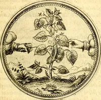 An illustration from Joachimi Camerarii Symbolorvm et emblematvm centvriæ tres. I. Ex herbis & stirpibus. II. Ex animalibus quadrupedibus. III. Ex volatilibus & insectis. Accessit noviter centvria IV. Ex aquatilibus & reptilibus. Cvm figvris æneis (1605)