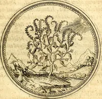An illustration from Joachimi Camerarii Symbolorvm et emblematvm centvriæ tres. I. Ex herbis & stirpibus. II. Ex animalibus quadrupedibus. III. Ex volatilibus & insectis. Accessit noviter centvria IV. Ex aquatilibus & reptilibus. Cvm figvris æneis (1605)
