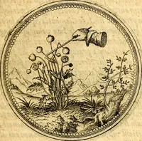 Picture 120 of 302 from Joachimi Camerarii Symbolorvm et emblematvm centvriæ tres. I. Ex herbis & stirpibus. II. Ex animalibus quadrupedibus. III. Ex volatilibus & insectis. Accessit noviter centvria IV. Ex aquatilibus & reptilibus. Cvm figvris æneis (1605), leaf 158