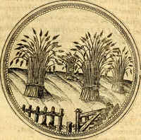 An illustration from Joachimi Camerarii Symbolorvm et emblematvm centvriæ tres. I. Ex herbis & stirpibus. II. Ex animalibus quadrupedibus. III. Ex volatilibus & insectis. Accessit noviter centvria IV. Ex aquatilibus & reptilibus. Cvm figvris æneis (1605)